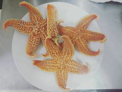 -宾朋海鲜特色美食餐厅·纯手工鲅鱼水饺(兴海路店)