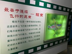 -上海昆虫博物馆