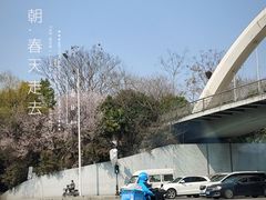 -凯德广场(西城店)