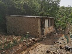 -遵化市禅林寺古银杏风景园