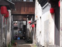 -崇仁古镇