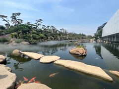 -罗红摄影艺术馆