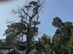 -司徒庙