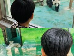 -五龙山野生动物王国