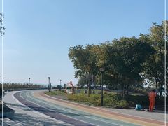 -贡湖湾湿地公园
