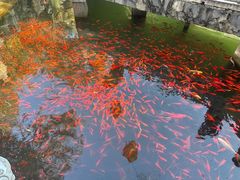 -红螺寺