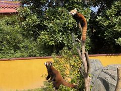 -杭州野生动物世界
