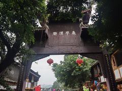 -中国大熊猫保护研究中心雅安碧峰峡基地