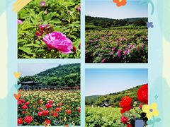 -龙寺生态园
