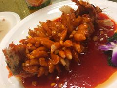 -丁老爷子苏香圆