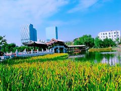 -西海子公园