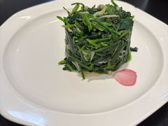 金菇拌菠菜-勺园中餐厅