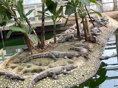 -石家庄市动物园