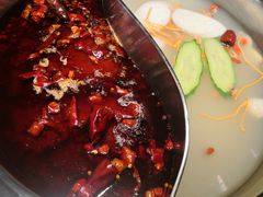 牛油鸳鸯锅-重庆大队长火锅(凤城八路店)