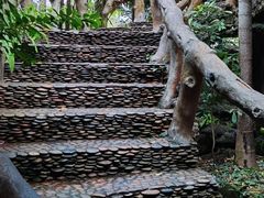 -绿光森林餐厅