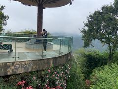 -铁山坪森林公园