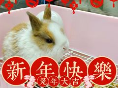 -三旗百汇商品城