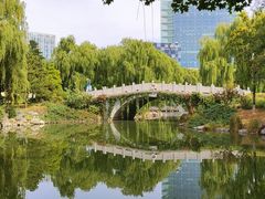 -大兴滨河森林公园