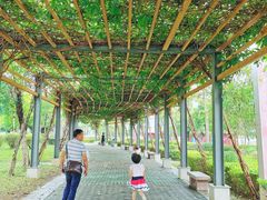 -飞来湖湿地公园
