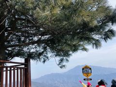 -洛阳白云山景区