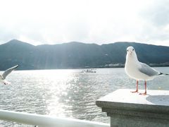 -滇池海埂公园