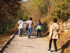 -静之湖湖畔餐厅