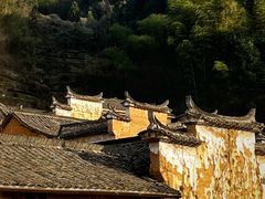 -杨家堂村