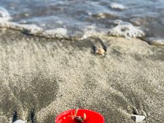-台山黑沙湾海浴场