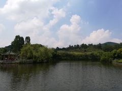 -大屏嶂森林公园