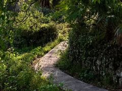 -塔川景区