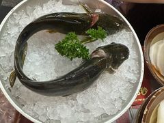 -赵美丽·重庆社区火锅·直营店(火车东站·中豪国际店)