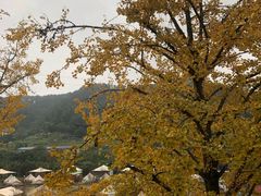 -重庆南山海昌汤都