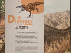 -湖南省地质博物馆