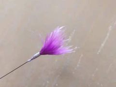 -耳语轻风专业采耳馆(古北花世界商业广场店)