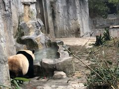 -廖老妈蹄花店(人民公园陕西街259号店)