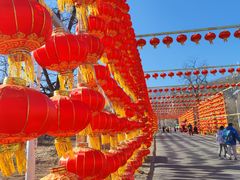 -北京凤凰岭
