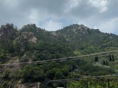 -崂山水果园农家宴(泉水鸡店)