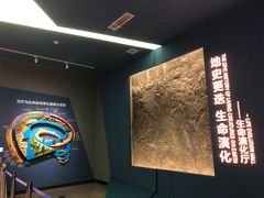 -湖南省地质博物馆