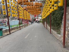 -五龙山野生动物王国