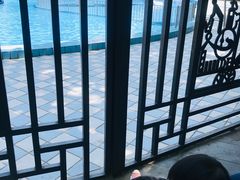 -青年湖公园水上世界