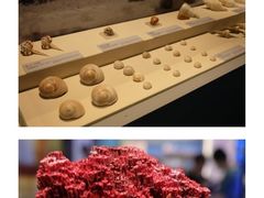 -上海中国航海博物馆