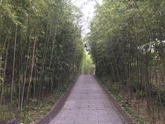 -福建鲤鱼洲酒店