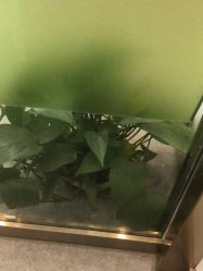 点击看大图 -苗医生0感科技祛痘