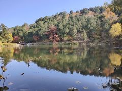 -香山公园