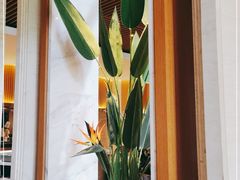 -蜻蜓逐宴全日制西餐厅I古北水镇大酒店