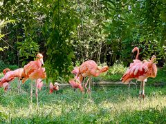 -青岛森林野生动物世界