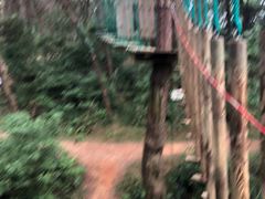 -芦仙山景区-飞越丛林探险乐园