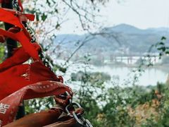 -子昂故里文化旅游区