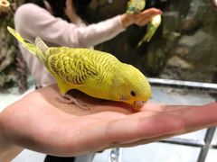 -zoonana室内动物园(东方福来德店)