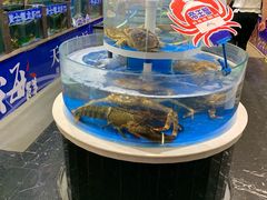 水产区-自助火锅筷乐食代自助餐厅(金辰店)